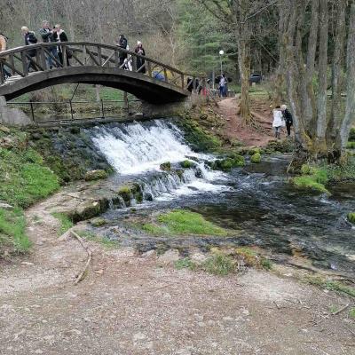 Vrelo Bosne 1